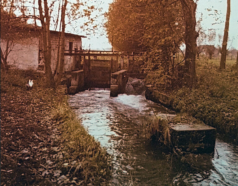 Neuhaus, remains of the dam of the former fulling mill, 1970s (from: H. SCHÄFERS: Die Standorte der Mühlen im südlichen und östlichen Teil des Altkreises Paderborn, Staatsexamensarbeit masch. Paderborn 1980, photo 22, p. 85)